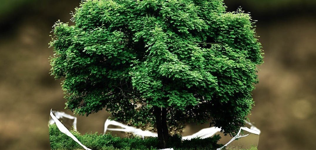 Umwelttag in Hamm (Sieg)