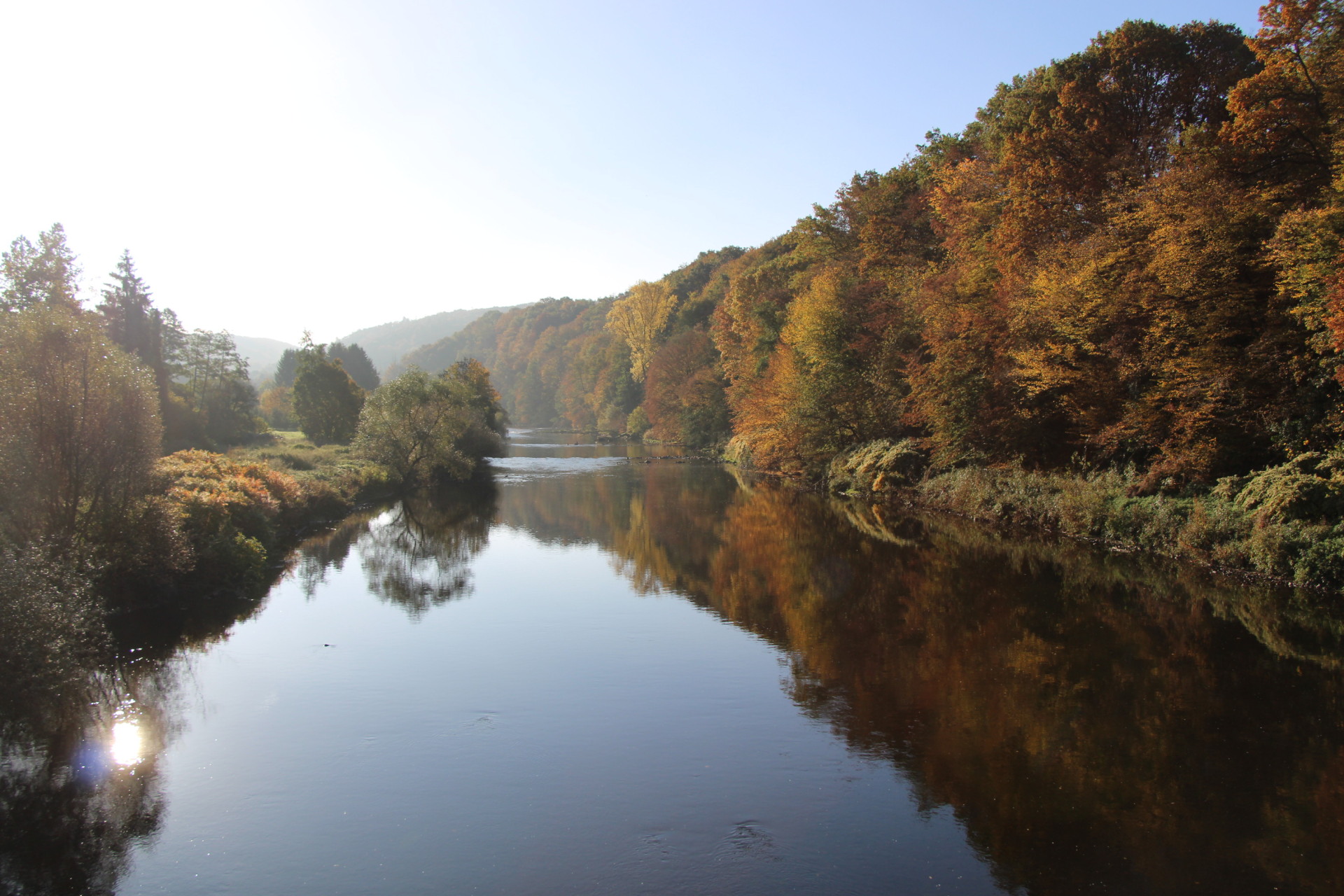 Pflanzentrieb im Beton