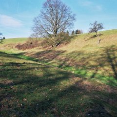 Gründe Wiese, Bäume und der Bachlauf