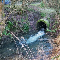 Aus einem Betonrohr strömt Wasser