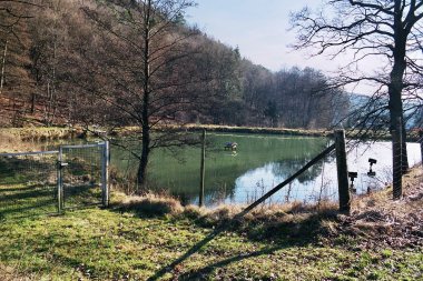 Naturfoto weiher