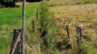 Zwischen zwei Weidezäunen ist der Bach zunächst nur als Rinnsal zu erkennen.